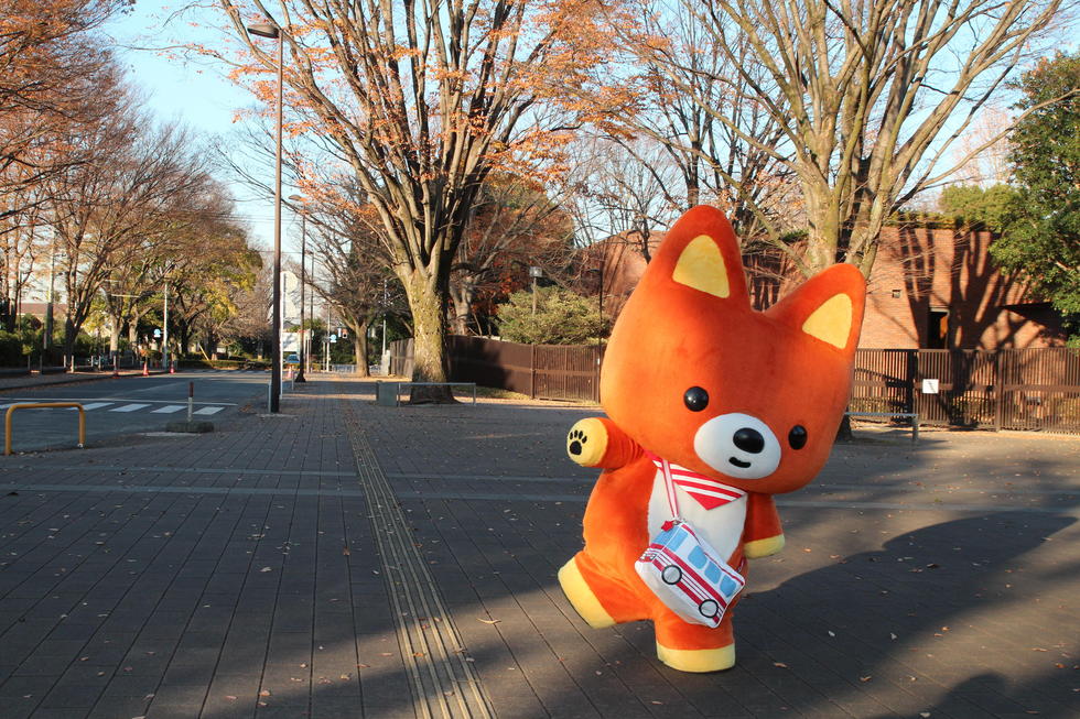 「きゅんた」の活動報告開始のお知らせ